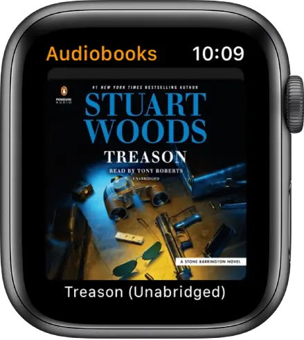 The cover art for an audiobook.