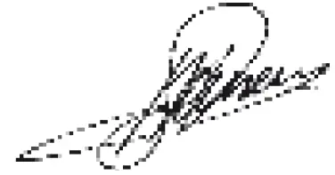 BATAVIA-BT-CP002-FIXXPACK-12-V-Cordless-Polisher-Sander-fig-10