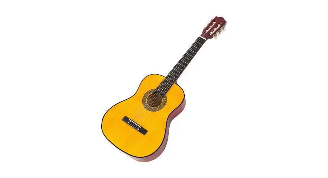 Pyle Peag99 6-string Electric Acoustic Guitar User Guide