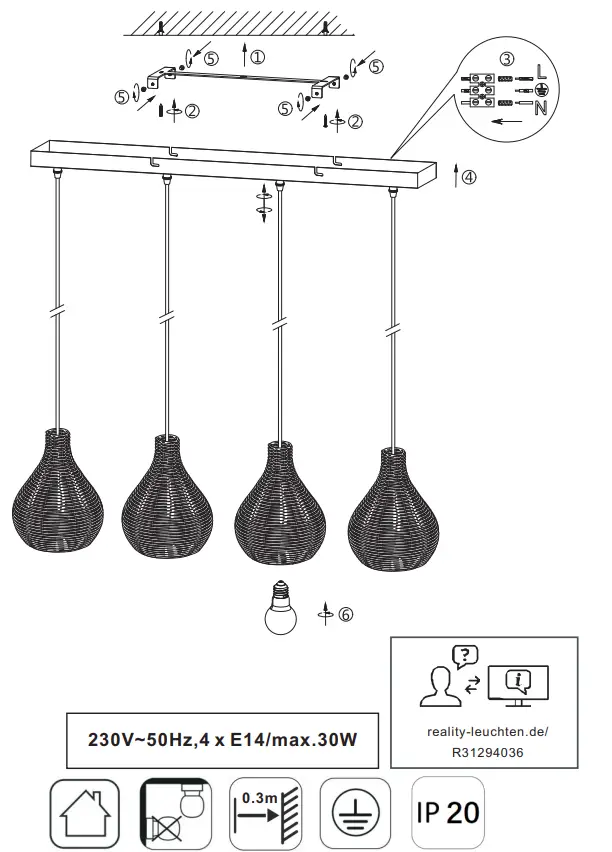 TRIO R31294002 Sprout Pendant Ceiling Light 1