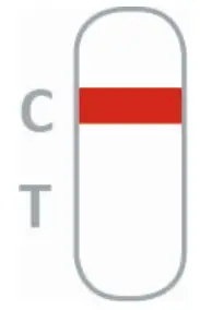 Result Interpretation