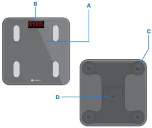 FIG 2 Function Diagram
