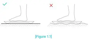 FIG 6 Using the Smart Scale