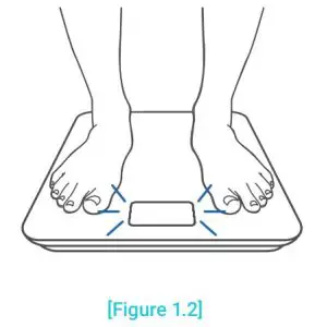 FIG 7 Using the Smart Scale