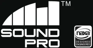 naxa NDS-1518D 15 Inch Dual Portable Speaker-Portable Speak