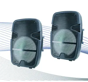 naxa NDS-1518D 15 Inch Dual Portable Speaker-Portable Speaker