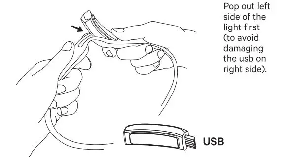 knog Bilby and Bilby Run User Guide - Charging