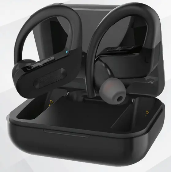 SM Tek Group TWS26 Zoom True Wireless Earbuds