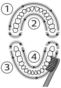 PHILIPS HX3641 Electric Toothbrush - Fig 6
