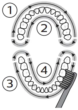 PHILIPS HX3641 Electric Toothbrush - Fig 8