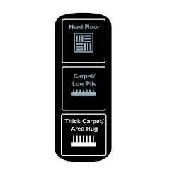 Thick Carpet/Area Rug