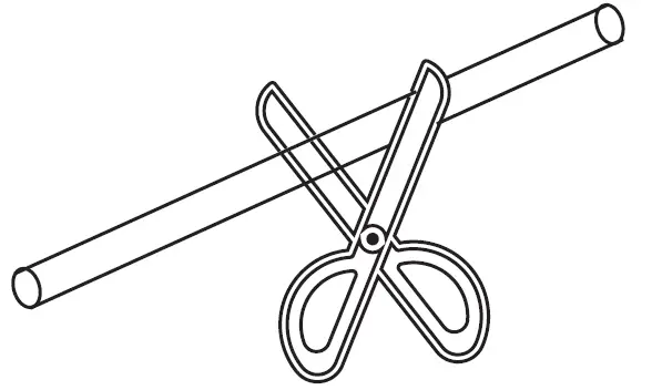 RainPoint-IK10P-Wifi-Automatic-Watering-Pump-Kit-21