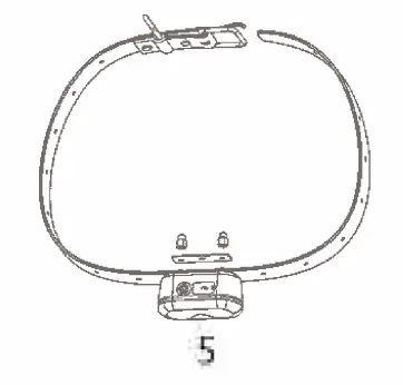 Yifeng-DT1000A-Rechargeable-and-Waterproof-Remote-Dog-Training-Collar-02