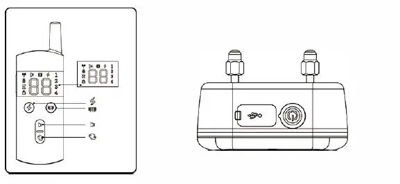 Yifeng-DT1000A-Rechargeable-and-Waterproof-Remote-Dog-Training-Collar-05