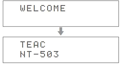 TEAC NT-503 Dual-Monaural DAC-Network Player-Preamp-FIG- (13)
