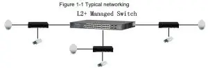 tp-link 6-Port 10 100Mbps Unmanaged-Typical Application