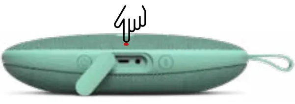 FRESH N REBEL 1RB6600IG BOLD X IPX7 Waterproof Portable Bluetooth Speaker - Micro USB cable