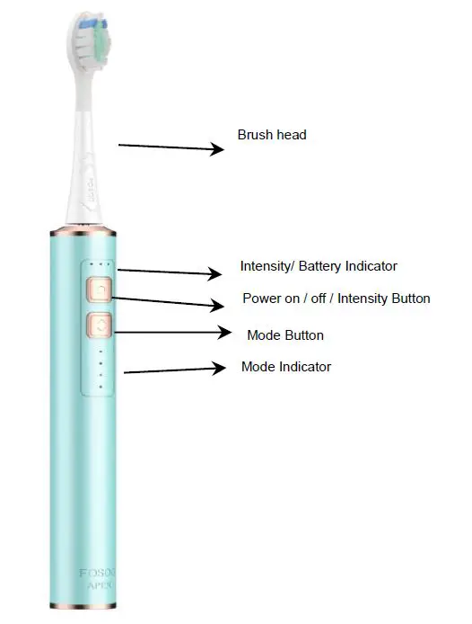 WELLON 2113 FOSOO Sonic Electric Toothbrush FIG 1