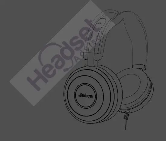 Jabra Evolve 80 Professional Headphones