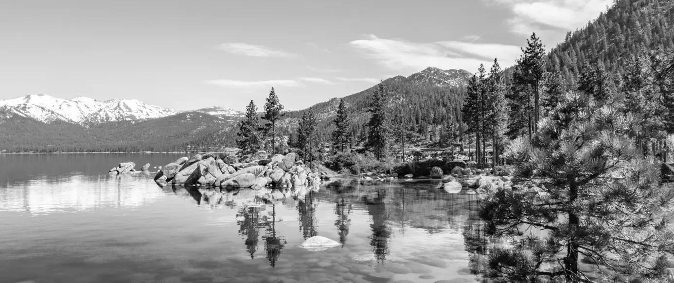 ZLINE RBIV-304-36 36 Inch Built In 3 Door French Door Refrigerator fig 1