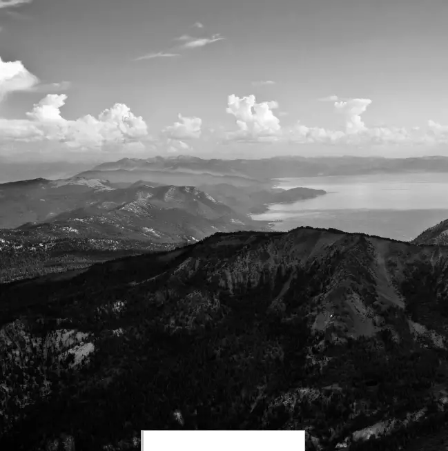 ZLINE RBIV-304-36 36 Inch Built In 3 Door French Door Refrigerator fig