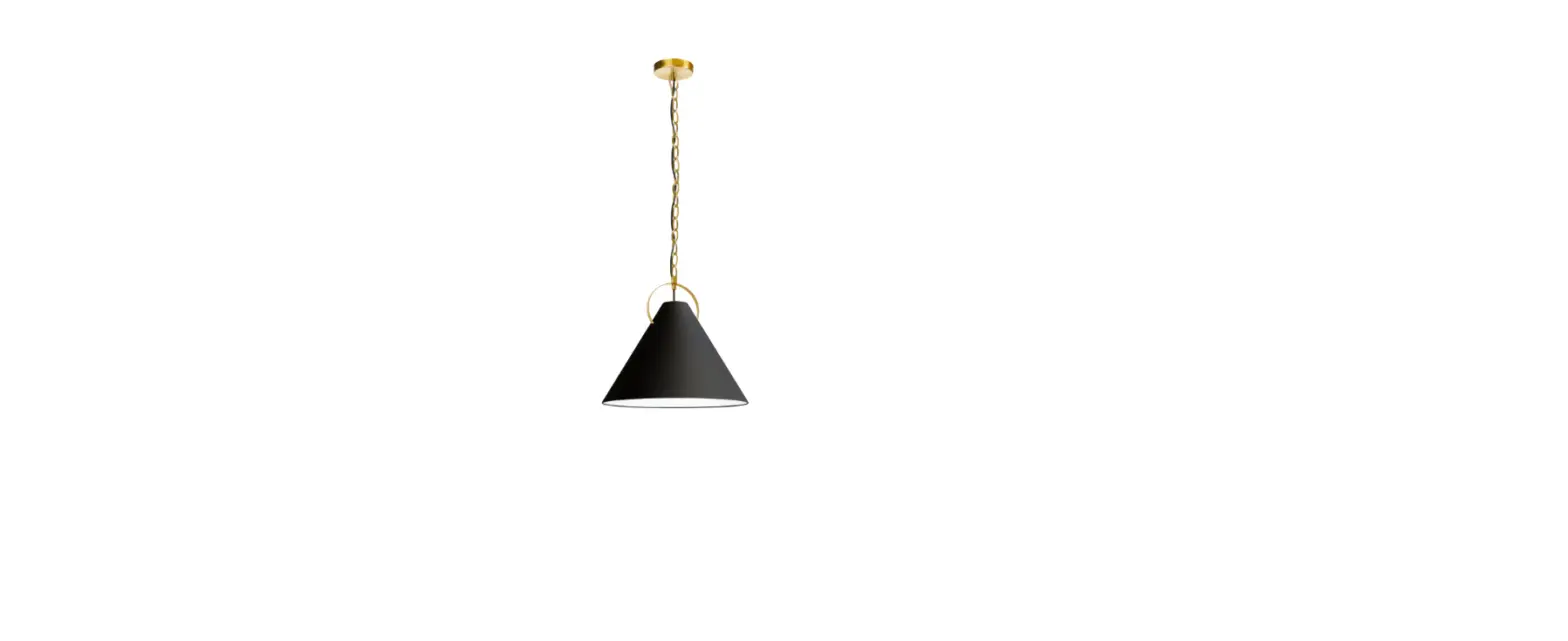 Dainolite Pcn-161p Princeton Black Modern-contemporary Cone Pendant Light Installation Guide