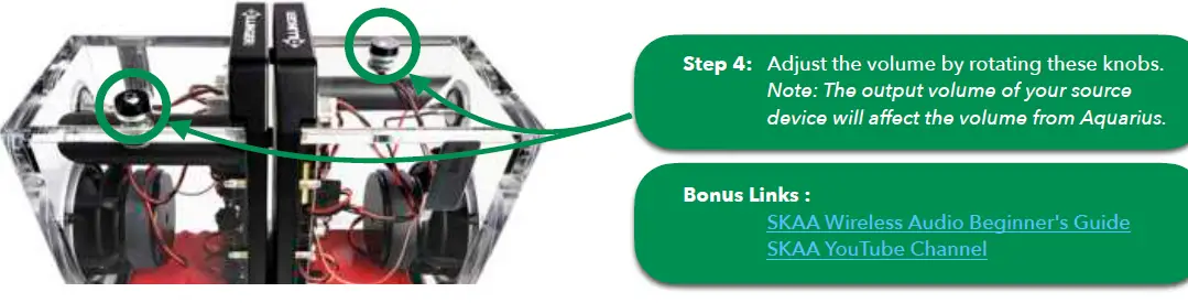 DILLINGER-Aquarius-SKAA-Wireless-Speaker-02