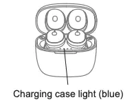 Charging case light