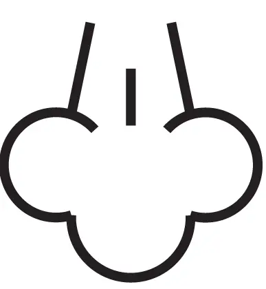 BRAYER-BR4152-Steam-Iron-07