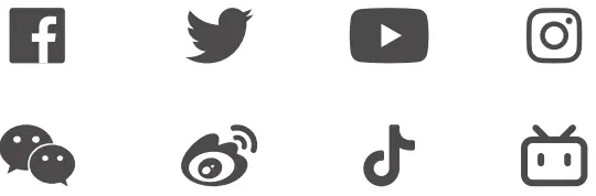 dji RS 3 Mini Compact Handheld Gimbal Mount - ICON