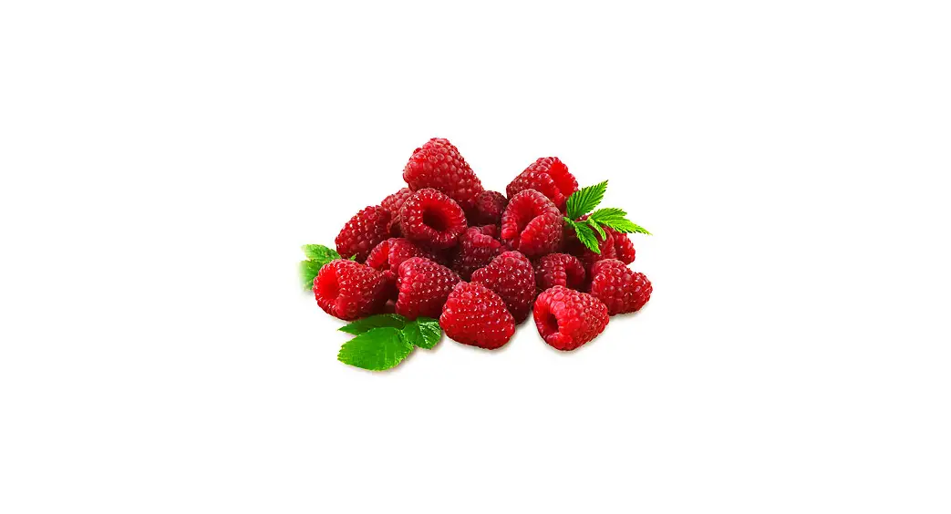 Van Zyverden 84552 Raspberry Latham Red Instructions Van Zyverden 84552 Raspberry Latham Red Instructions