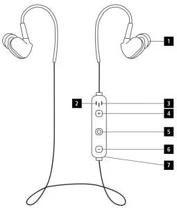Controls and Displays