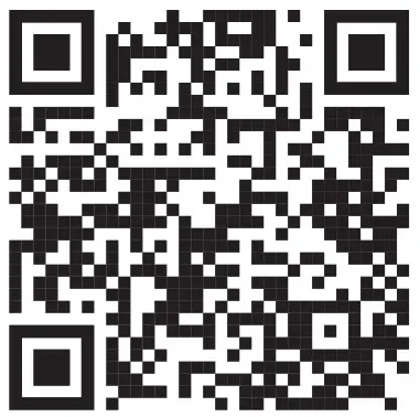 Toucan TSLC10WU Security Light Camera- Qr