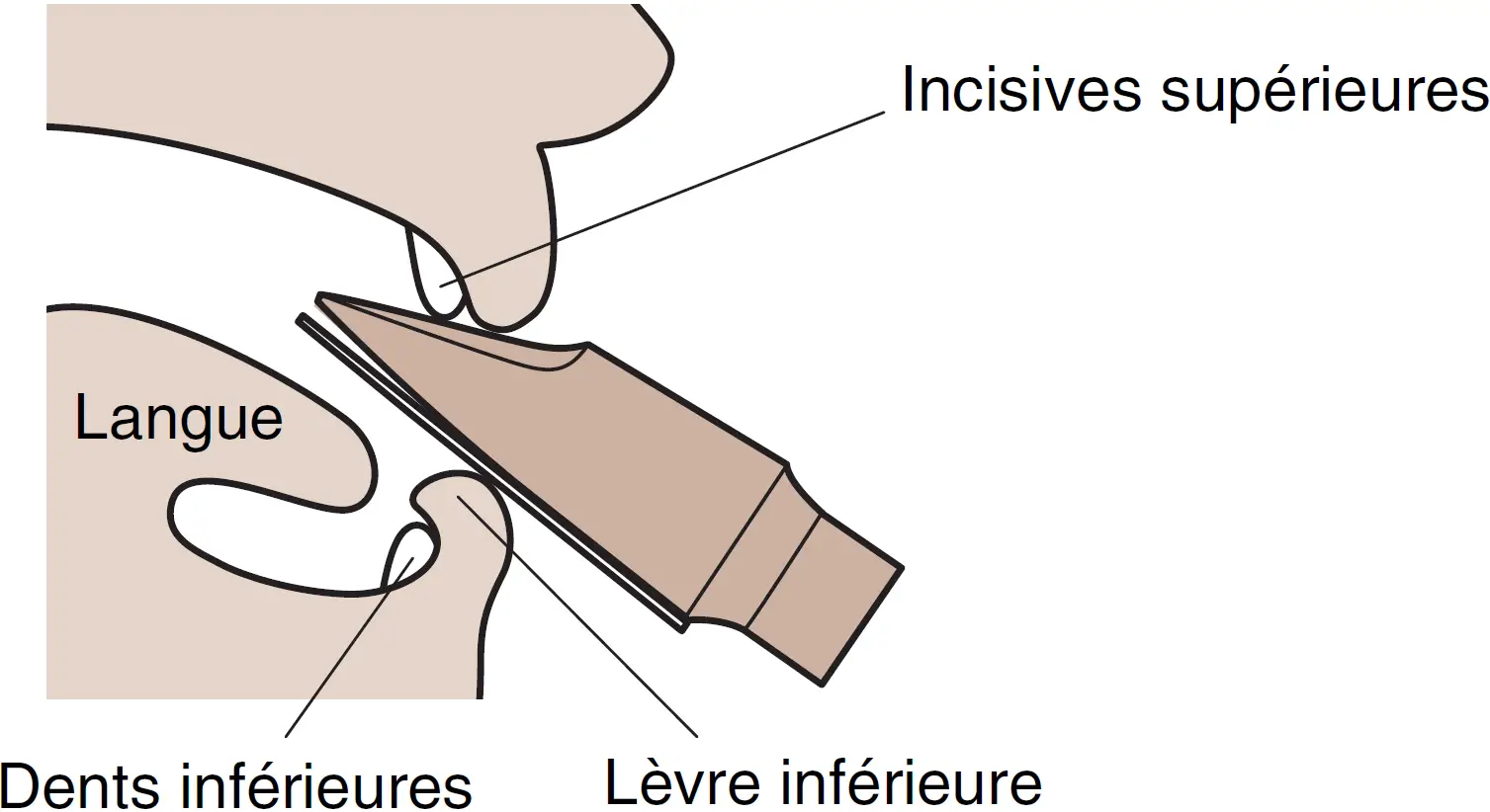 Et si nous commencions à jouer 02
