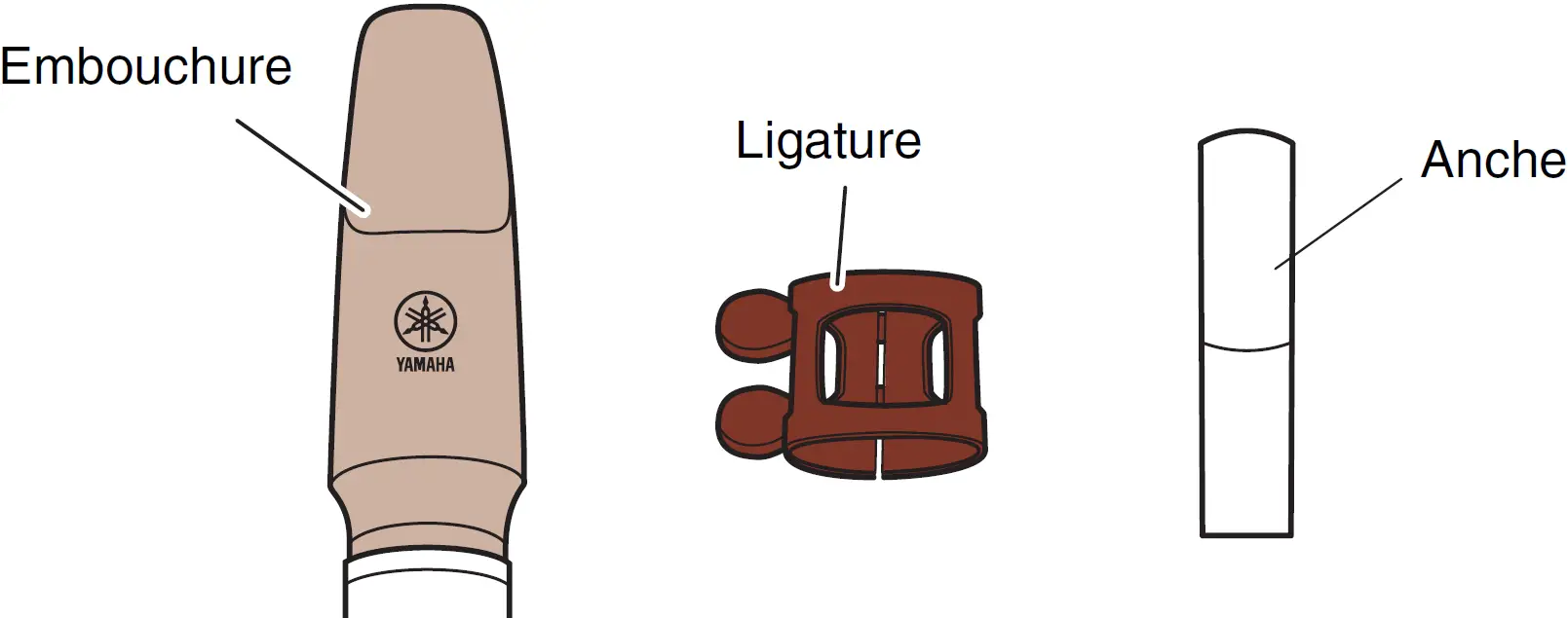 Réglage de l'anche et de la ligature 01
