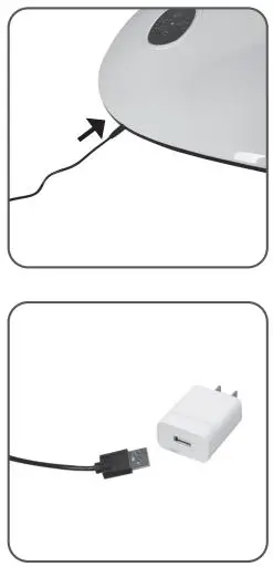 CNP BRANDS 037730 Serene Swing-8