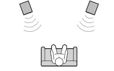 YAMAHA Speaker NS-3000 - Placking the Speker 2