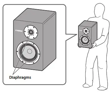 YAMAHA Speaker NS-3000 - Placking the Speker 3