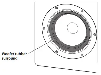 YAMAHA Speaker NS-3000 - Placking the Speker 4