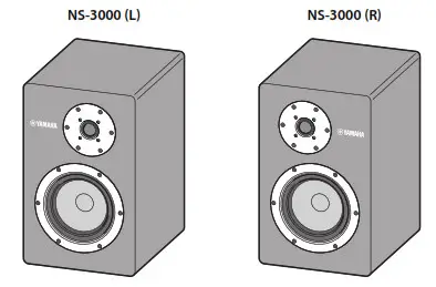 YAMAHA Speaker NS-3000 - Placking the Speker