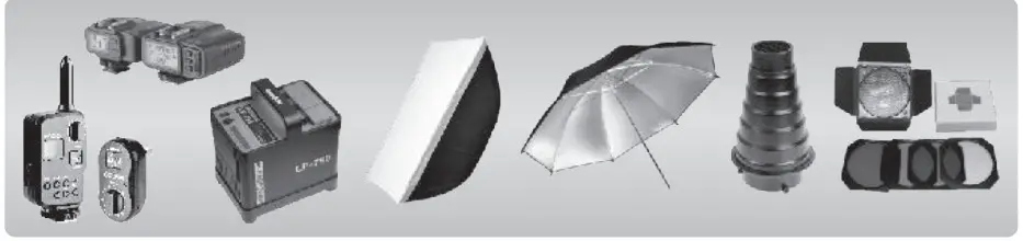 FLASH POINT FPLFBL200B FPLFBL300B MS Series Compact Studio Flash - 1