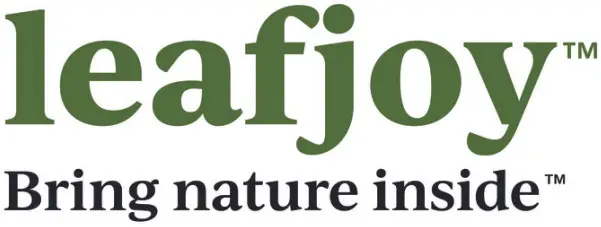 PROVEN WINNERS FICPRL0055105 5 Inch Leafjoy Fuzzy Wuzzy Ficus Audrey - Logo