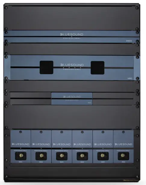 BLUESOUND PROFESSIONAL B100S 1-Zone Network Music Player - Fig 1