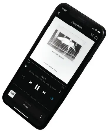 BLUESOUND PROFESSIONAL B100S 1-Zone Network Music Player - Fig 3