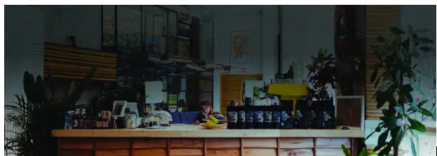 BLUESOUND PROFESSIONAL B100S 1-Zone Network Music Player