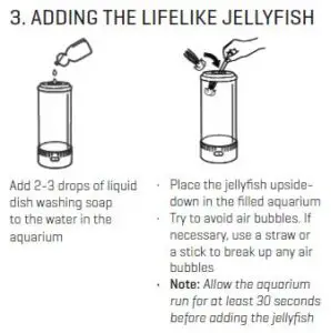 Adding the lifelike jellyfish 1