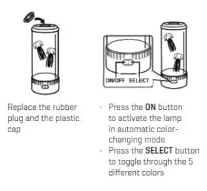 Adding the lifelike jellyfish 2