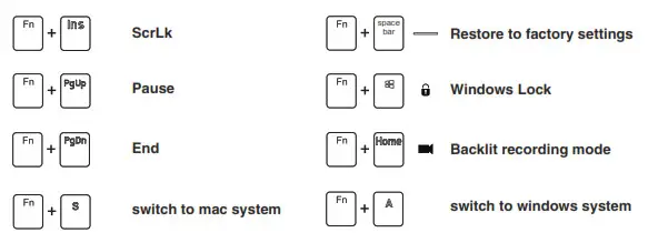 ROYAL KLUDGE RK98 Mechanical Wireless Keyboard- Special Funcrion