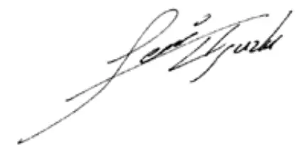 PARKSIDE PAAS 12 A2 12V Cordless Garden Saw - icon 2