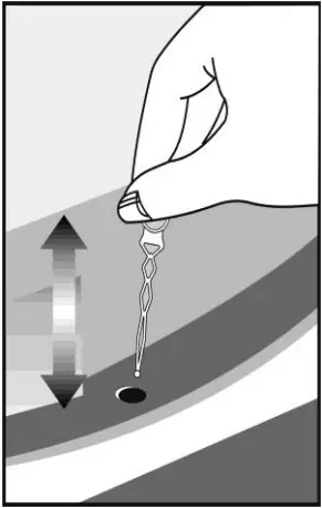 beko DS227030SN Refrigerator-Freezer 5